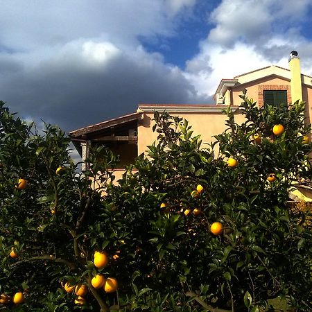 Su Canonigu Agriresort Tortolì المظهر الخارجي الصورة